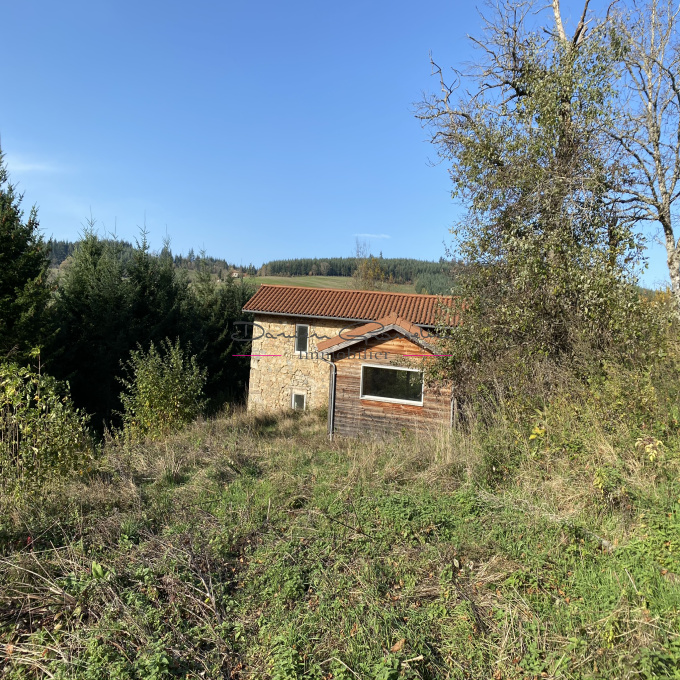 Offres de vente Maison Amplepuis (69550)