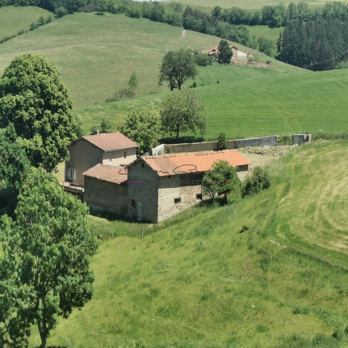 Offres de vente Maison Amplepuis (69550)